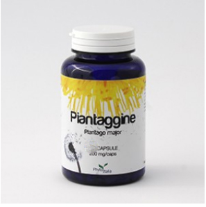 Piantaggine 60Cps