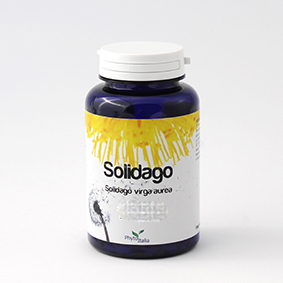 Solidago 60Cps