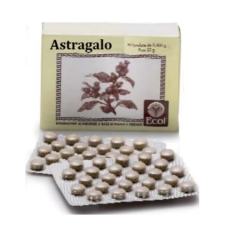 ASTRAGALO 50TAV 500MG