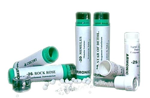 ARMONIC 12 GENTIAN 70GR TESLA