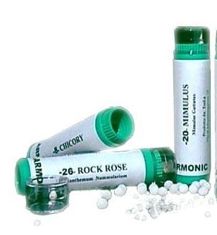 ARMONIC 15 HOLLY 70GR TESLA