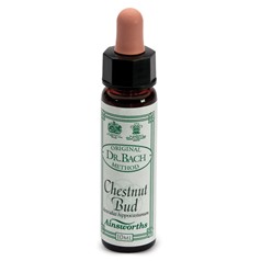 AINSWORTHS CHESTNUT BUD 10ML