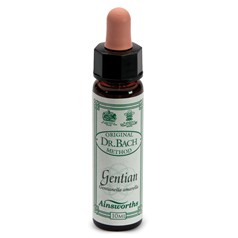 AINSWORTHS GENTIAN 10ML