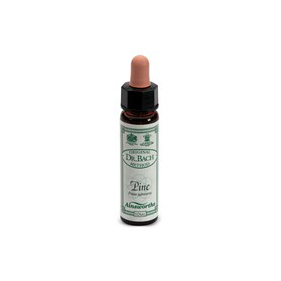 Ainsworths Pine 10Ml