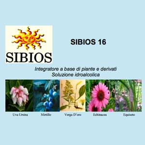 Sibios 16 Gtt 50Ml