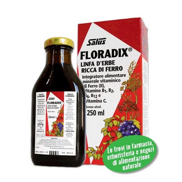 Salus Floradix Ferro 250 Ml