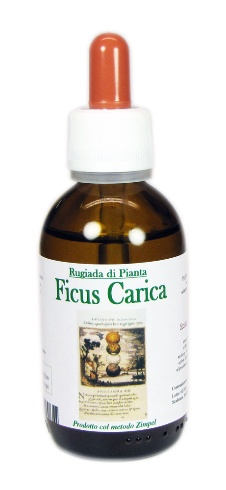 FICUS CAR.50ML GTT RUG.DI PIAN