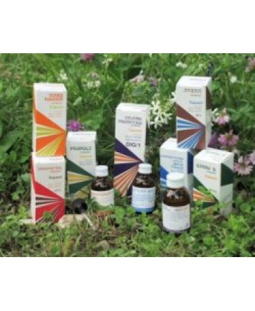Raemil Bardana Comp 250ml