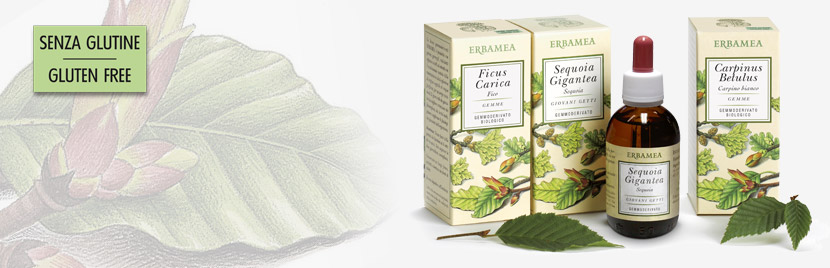 Fico Gemme Ficus Carica 50 ml - integratore per il benessere gastrointestinale