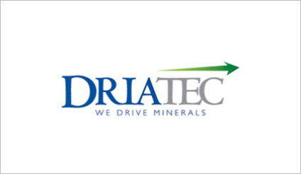 DRIAENERGY MENTA GTT 100ML DRI
