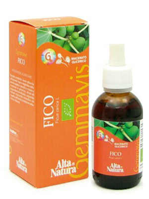FICO GEMMODERIVATO 50ML