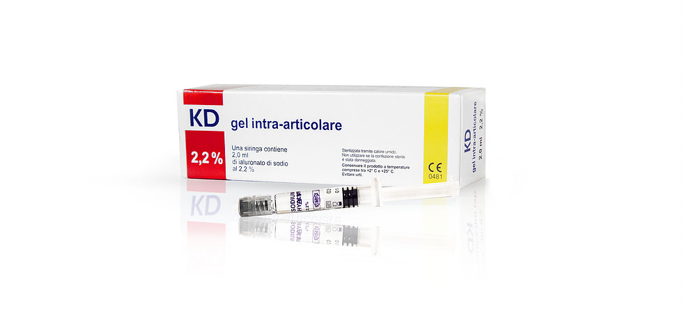 KD Gel Intra-Articolare 2,2% 1 Siringa
