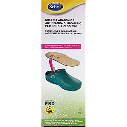 CLOG EVO ANAT ANT INS MIC37-38
