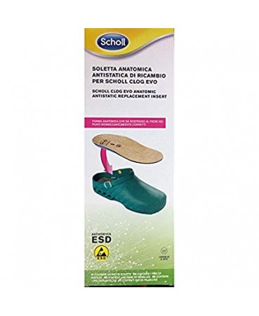 CLOG EVO ANAT ANT INS MIC38-39