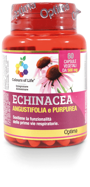 Echinacea 60Cps Colours