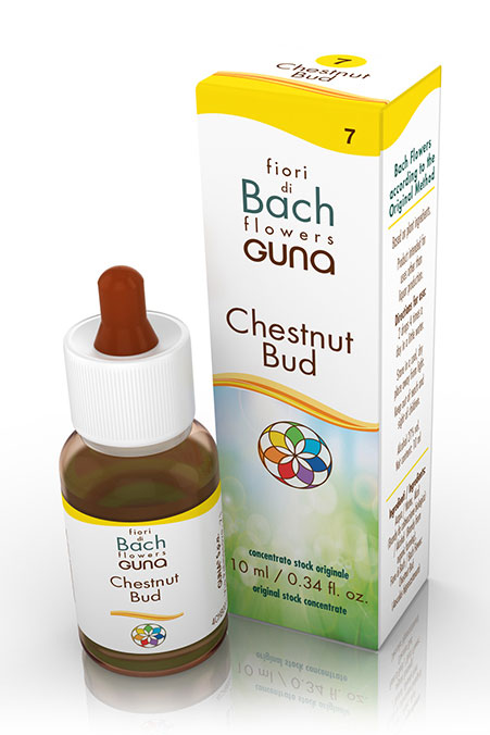 Guna Fiori Di Bach Chestnut Bud Apprendimento Gocce 10 Ml