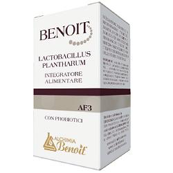 Benoit Lactobacillus Plan30Cps
