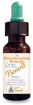 Determination Remedy 28Ml