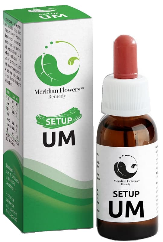 Setup Um 10 Ml Meridian Flowers Remedy