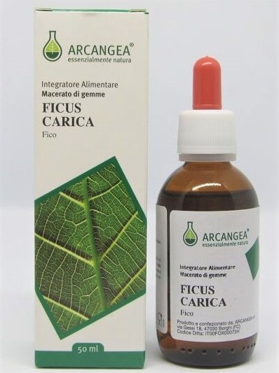 Ficus Carica Bio 33 Gd 50ml