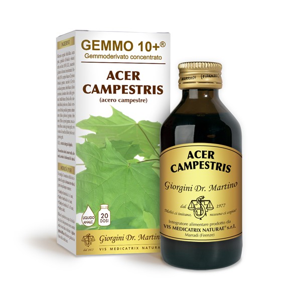 Acero Camp 100Ml Analco Gem10+