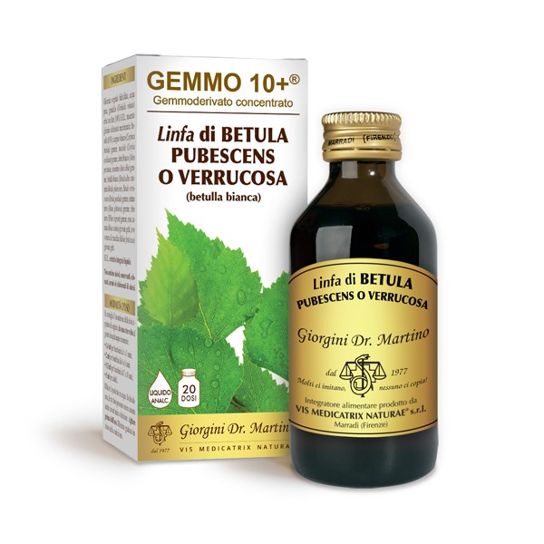 Betulla B Linfa An Gemm10+ 100