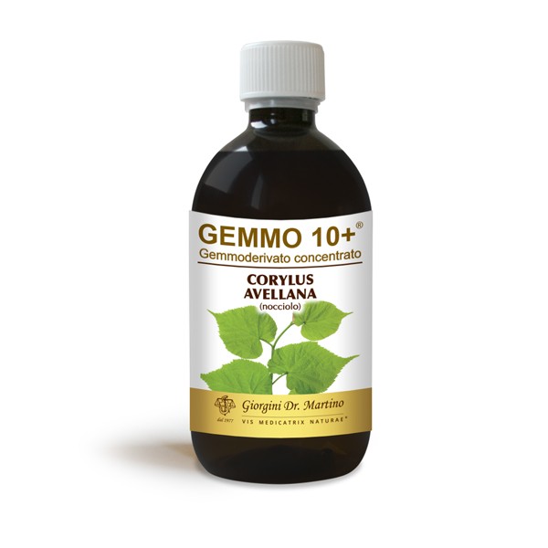 Nocciolo 500Ml Analco Gem 10+