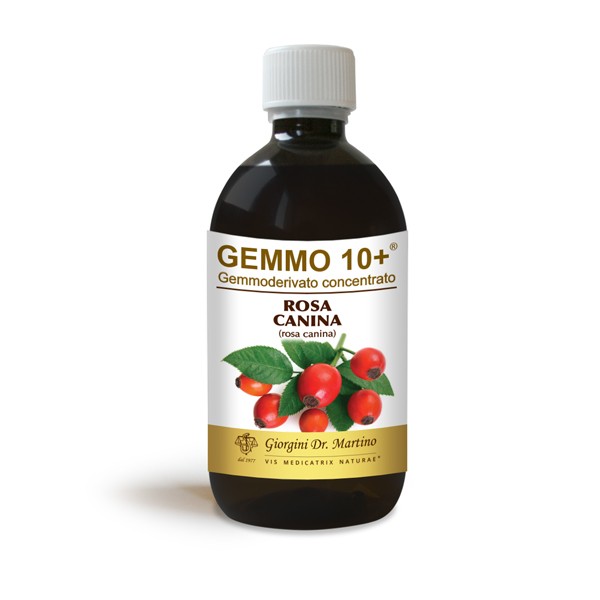 Rosa Canina Liq Analco Gemm10+