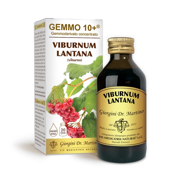 Viburno Liq Analcolico 100Ml