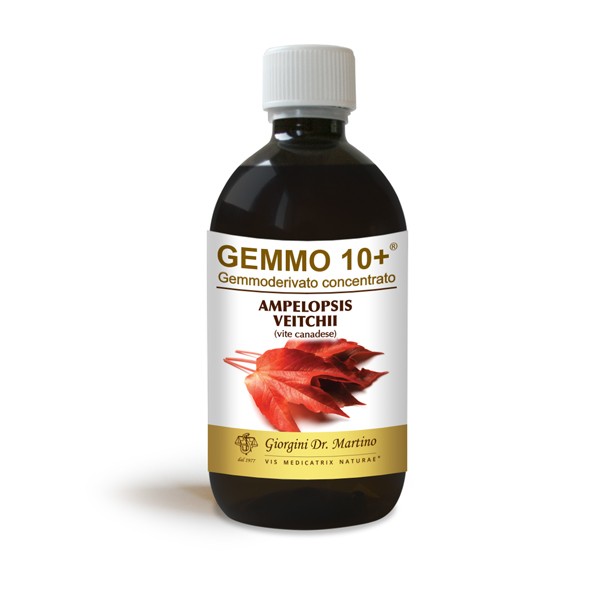 Vite Canadese 500Ml Liq An Gem