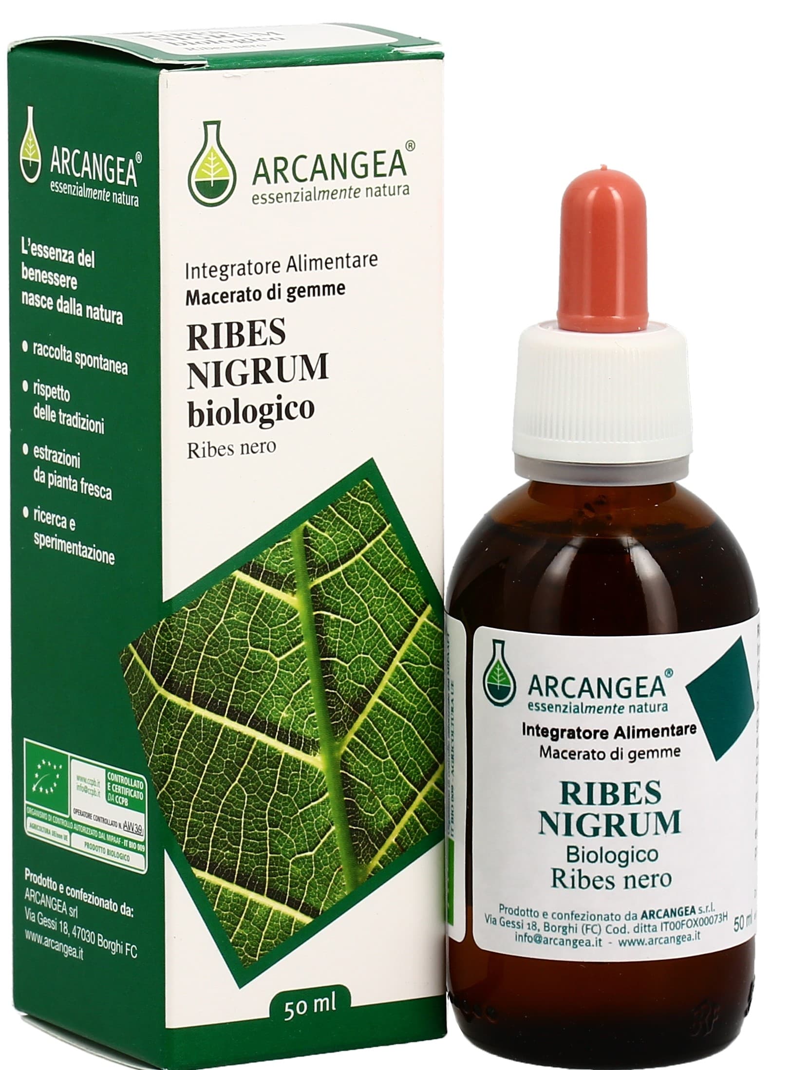 RIBES NIGRUM GD 33 BIO 100ML