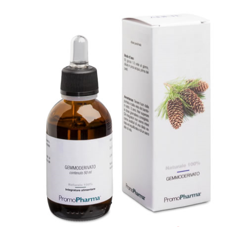 Rosa Canina Gemmod 100ml