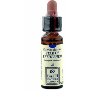 STAR OF BETHLEHEM 10ML GTT