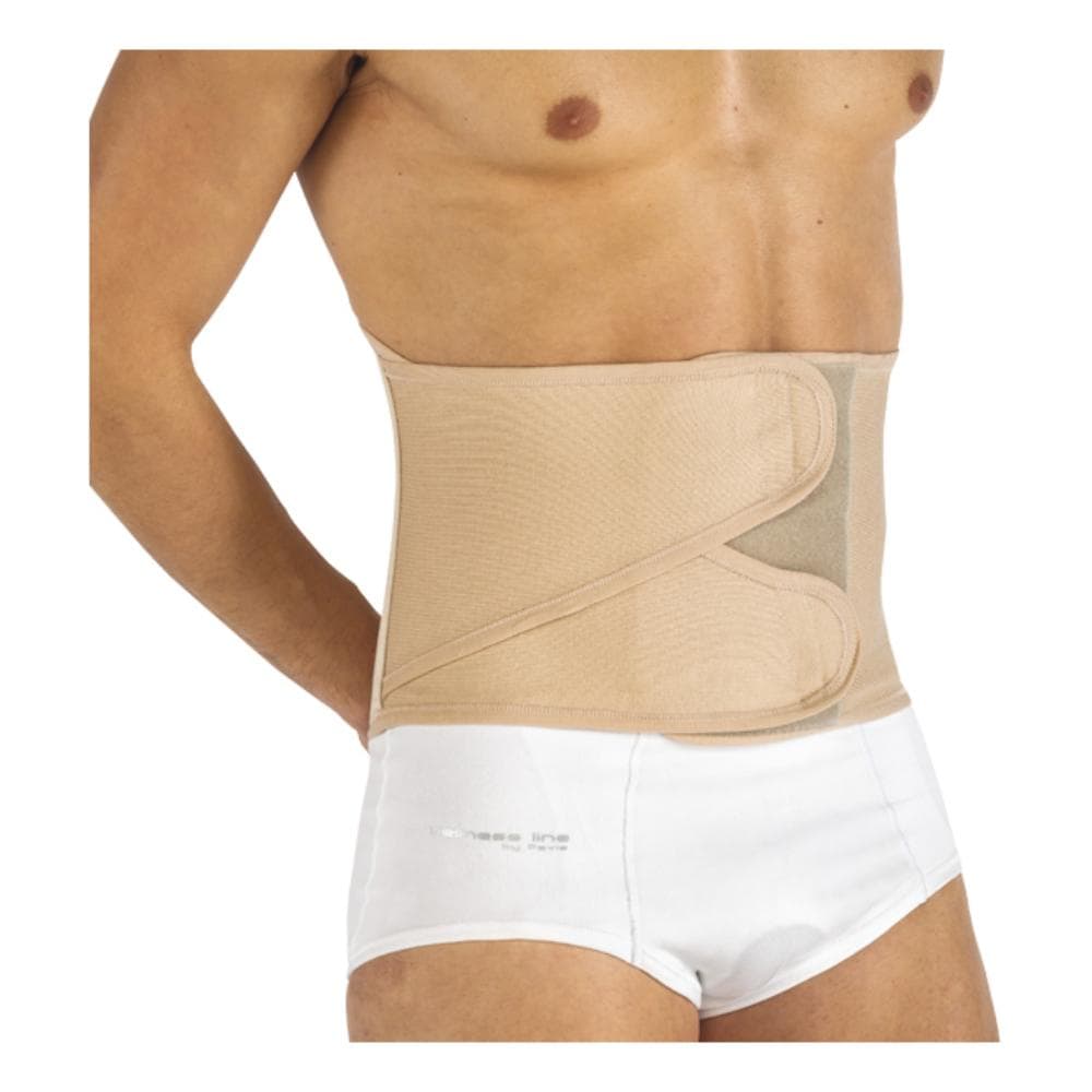 WELLNESS 546 CINT LOMB FT CR85