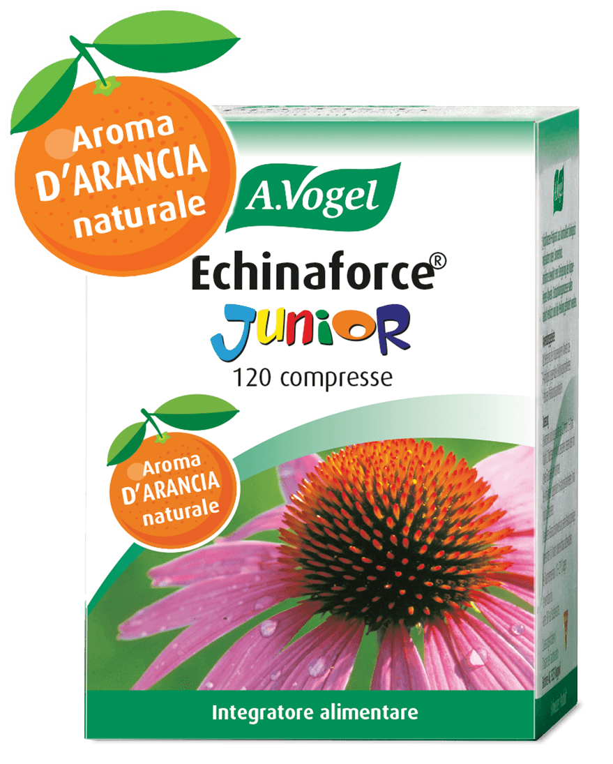 ECHINAFORCE JUNIOR 120CPR