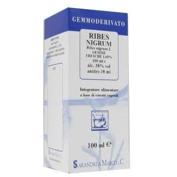 RIBES NIGRUM 100ML MG