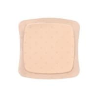 AQUACEL AG FOAM N/ADES 10X10