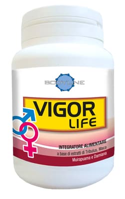 VIGOR LIFE 40CPS