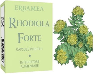 RHODIOLA Forte 24 Cps EBM