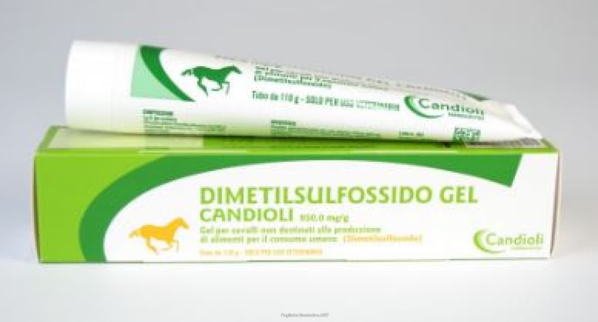DIMETILSULFOSSIDO GEL 110G