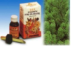 PINO SILV OLIO ESS PURO 10ML