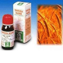 AVENA SATIVA 50ML TM SPECCH.