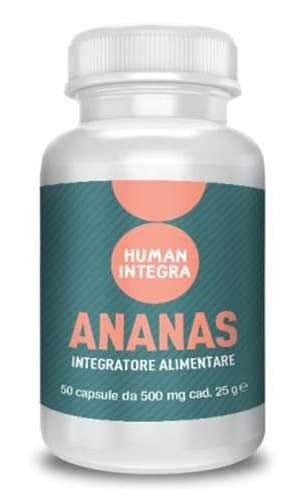 ANANAS ABROS 60CPS 21G