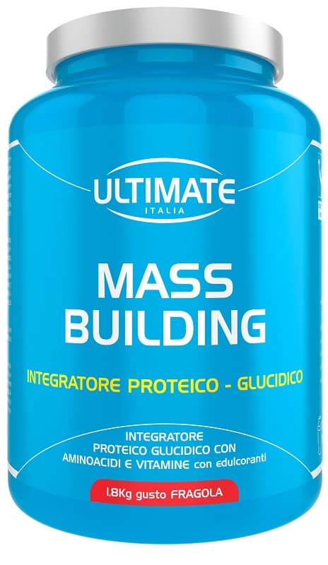 ULTIMATE MASS BUILDING VAN 1,8