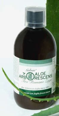 GALENIA ALOE ARBORESCENS 500ML