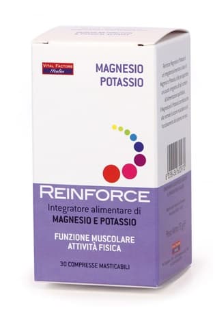 REINFORCE MAGNESIO+K 30CPR