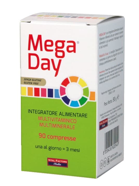 MEGA DAY INTEGRAT 90TAV