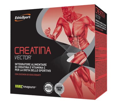 CREATINA VECTOR 20BUST 8G