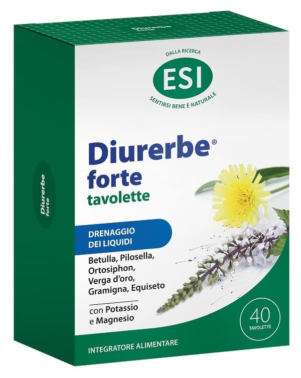 DIURERBE FORTE 40 TAVOLETTE