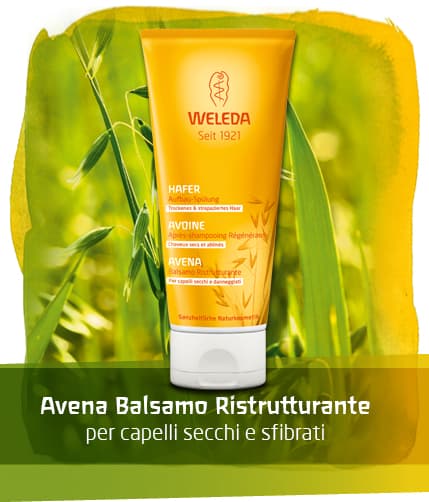 AVENA BALSAMO CAPELLI 200ML WE